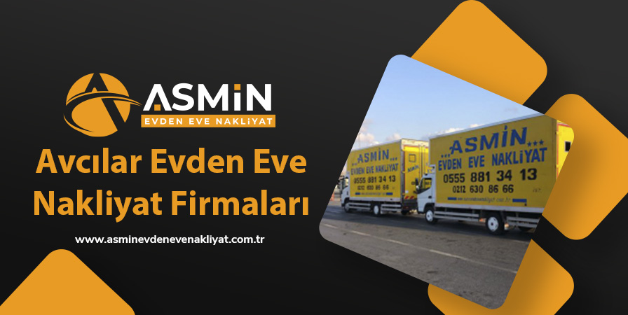 Avcılar Evden Eve Nakliyat Firmaları